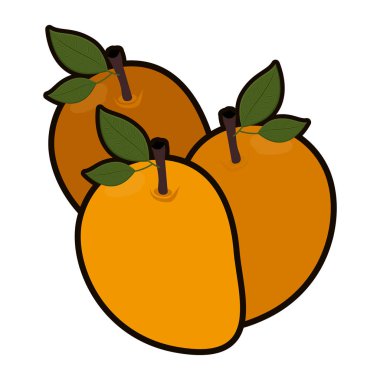 İzole mango meyve tasarım