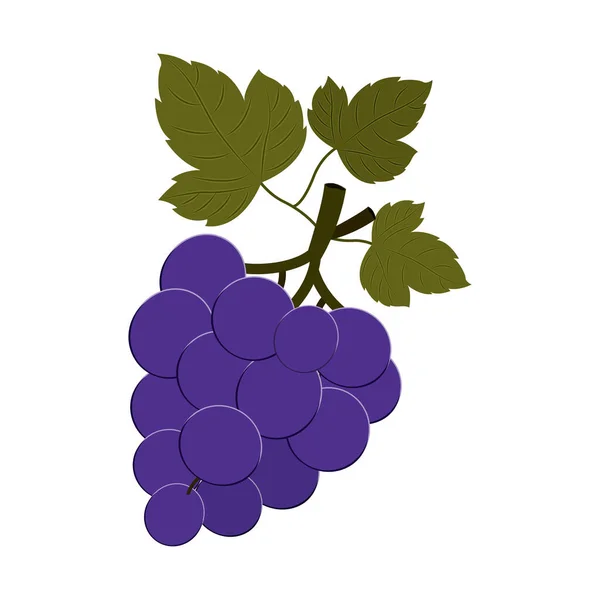 Изолированный виноград — стоковый вектор