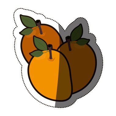 İzole mango meyve tasarım