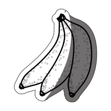 İzole muz meyve tasarım