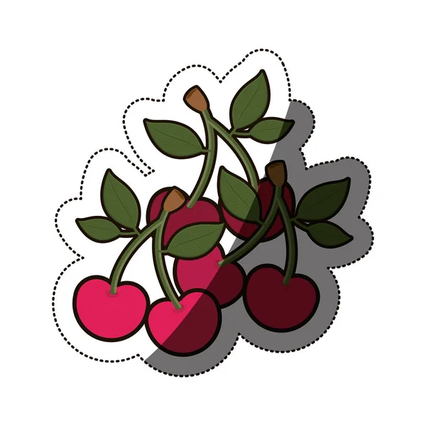 Isolierte Kirschfrucht-Design — Stockvektor