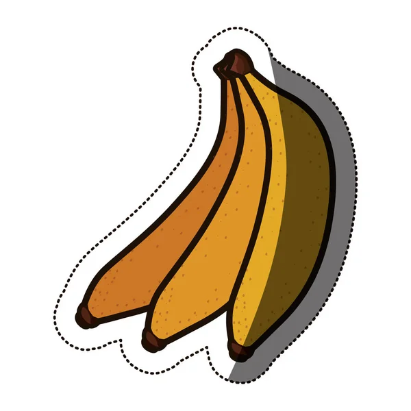 Desenho isolado de frutos de banana — Vetor de Stock