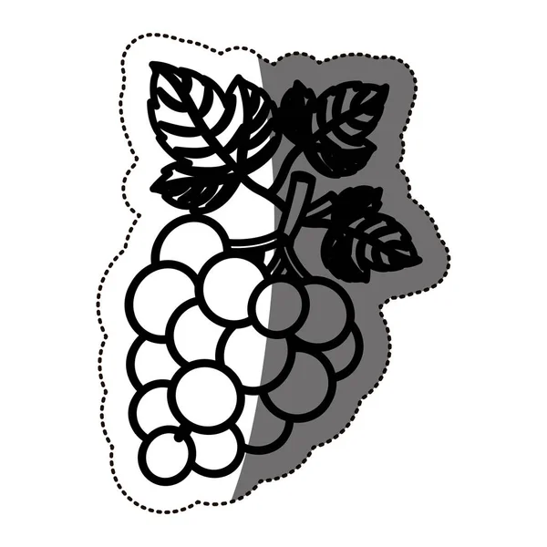 Diseño de la fruta de uvas aisladas — Vector de stock