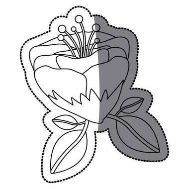 İzole çiçek dekorasyon