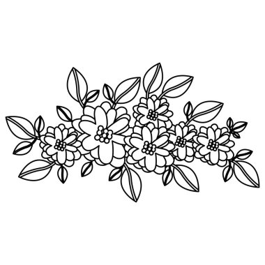 İzole çiçek dekorasyon