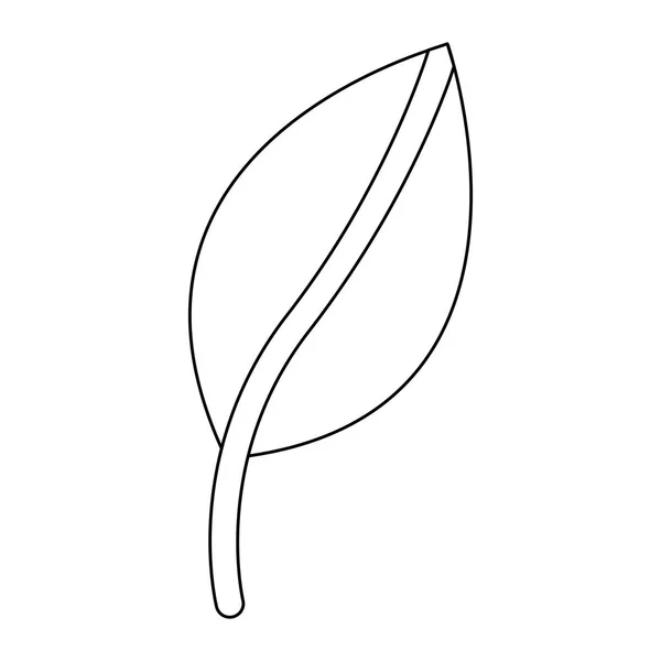 격리 된 잎 식물 디자인 — 스톡 벡터