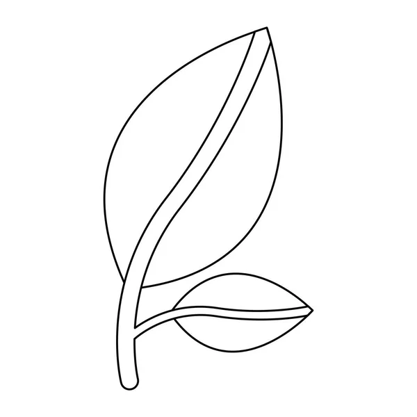 Isolerade blad växt design — Stock vektor