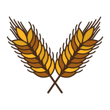 İzole buğday kulak tasarım