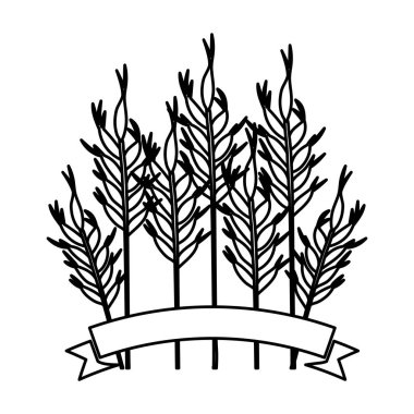 İzole buğday kulak tasarım