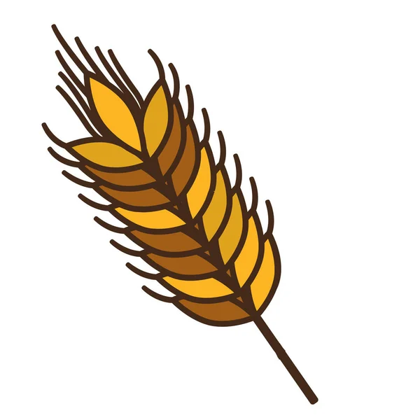 Изолированное пшеничное ухо — стоковый вектор