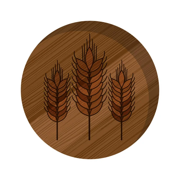 Diseño aislado de espiga de trigo — Archivo Imágenes Vectoriales