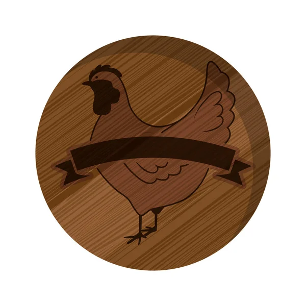 Diseño de pollo aislado — Vector de stock