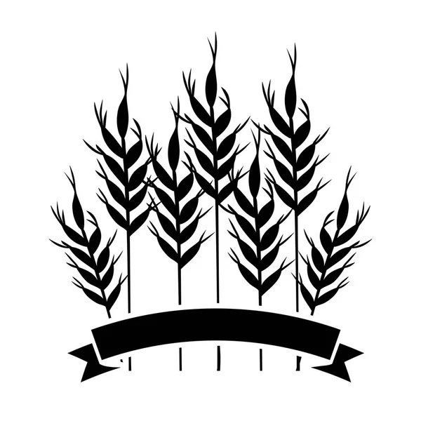 İzole buğday kulak tasarım — Stok Vektör