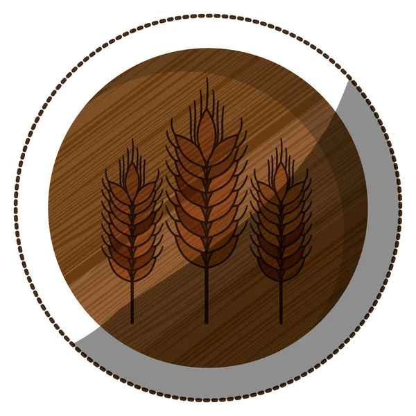 Projeto isolado de orelha de trigo — Vetor de Stock