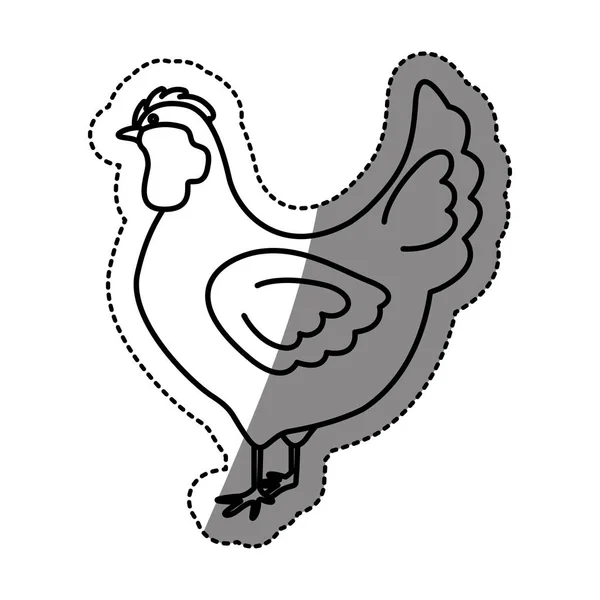 Diseño de pollo aislado — Vector de stock