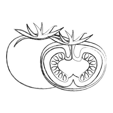 İzole domates tasarım