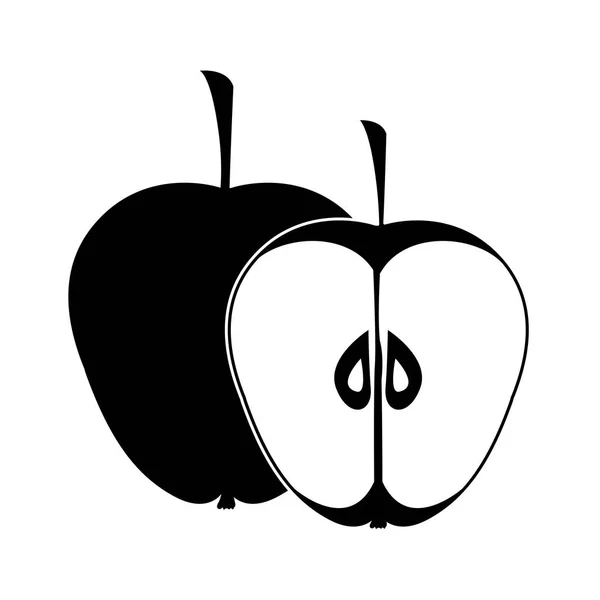 Изолированный дизайн яблок — стоковый вектор