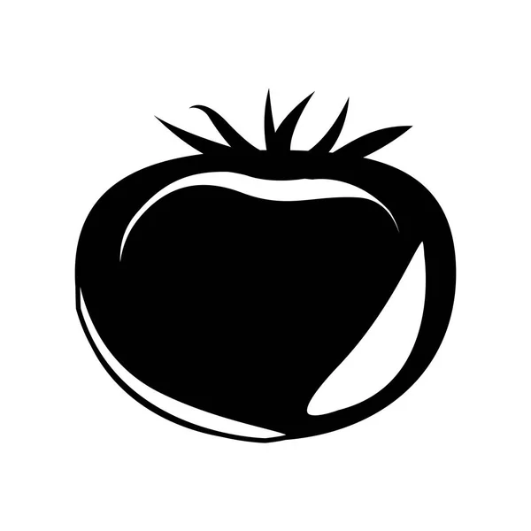 Diseño de tomate aislado — Vector de stock