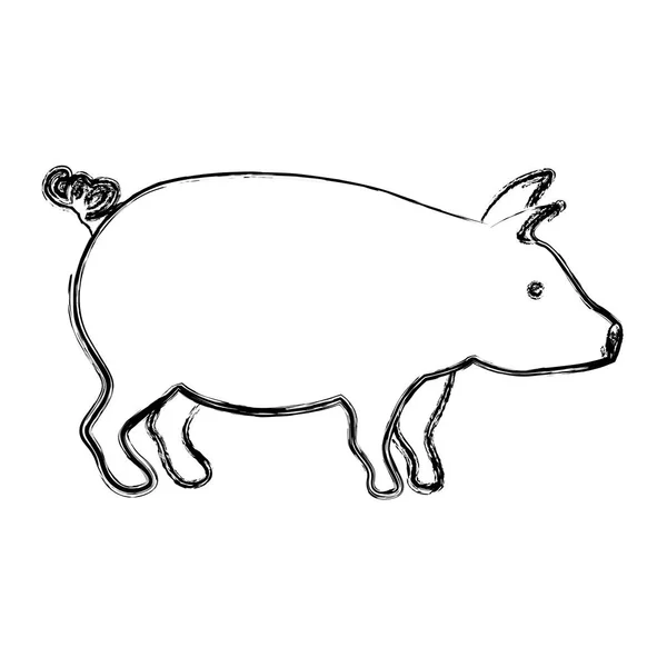 Diseño de cerdo aislado — Vector de stock