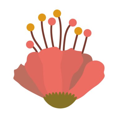 İzole çiçek dekorasyon