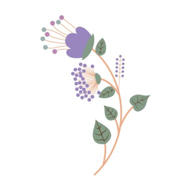 İzole çiçek dekorasyon