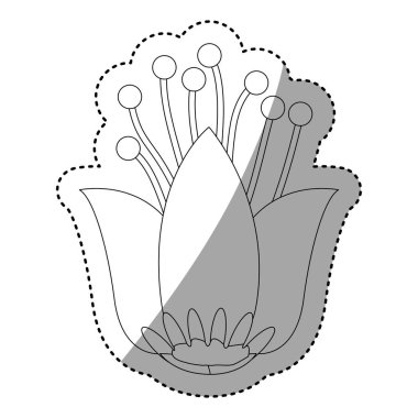 İzole çiçek dekorasyon