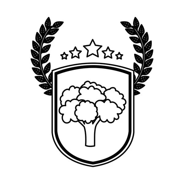 Geïsoleerde broccoli ontwerp — Stockvector