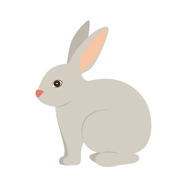 Diseño de dibujos animados de conejo aislado — Vector de stock