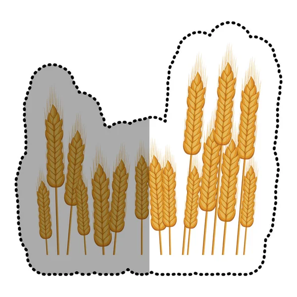 小麦分離耳デザイン — ストックベクタ