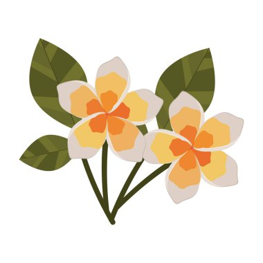 İzole çiçek dekorasyon