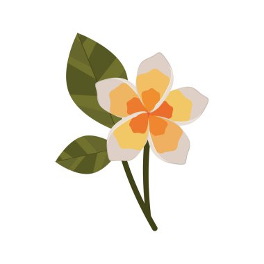 İzole çiçek dekorasyon