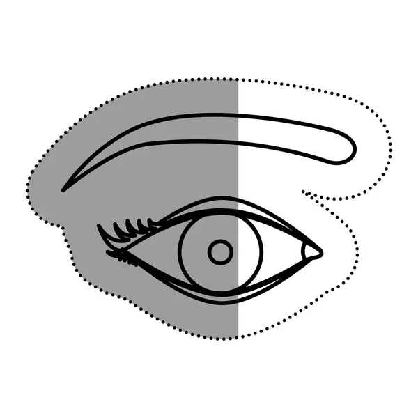 Isoliertes weibliches Augendesign — Stockvektor