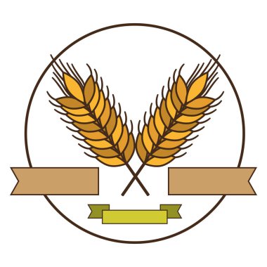 İzole buğday kulak tasarım