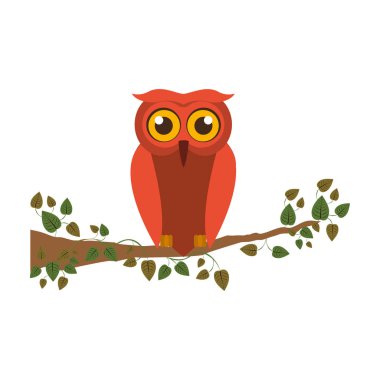 İzole baykuş karikatür tasarım