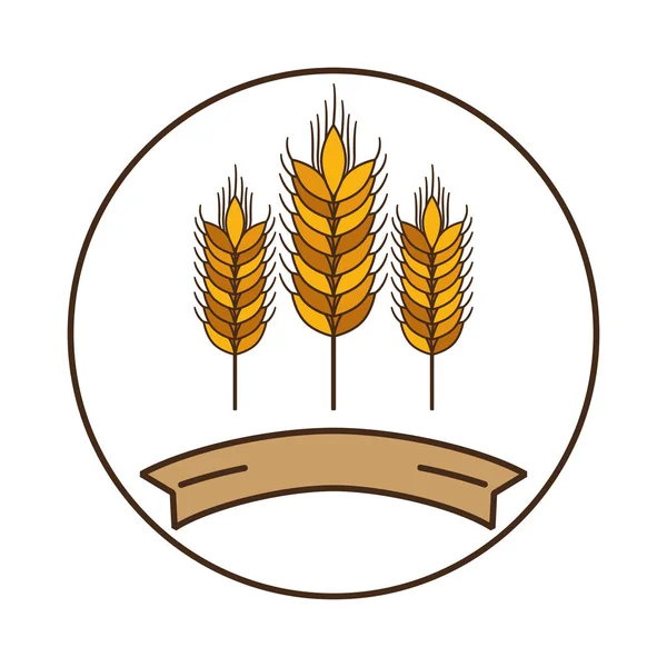 Isolierte Weizenährenkonstruktion — Stockvektor