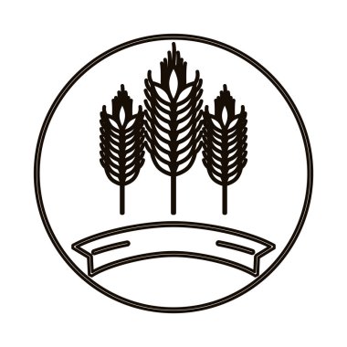 İzole buğday kulak tasarım