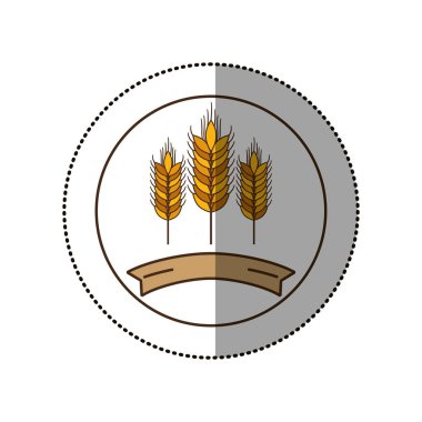 İzole buğday kulak tasarım