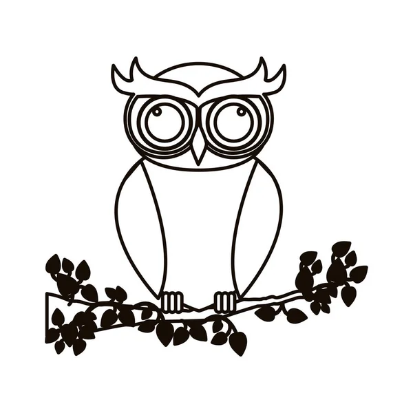 Isolated owl cartoon design — Stock Vector