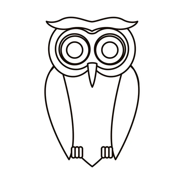 Conception isolée de dessin animé hibou — Image vectorielle