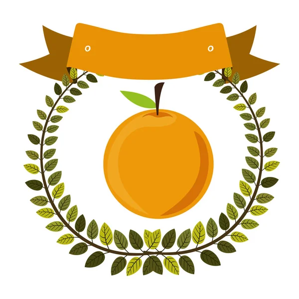 Couronne d'olive colorée et étiquette aux fruits orange — Image vectorielle