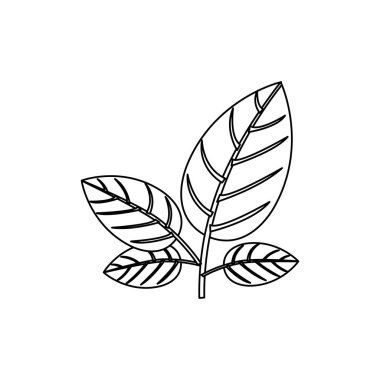 siluet süsleme ile kök yaprakları