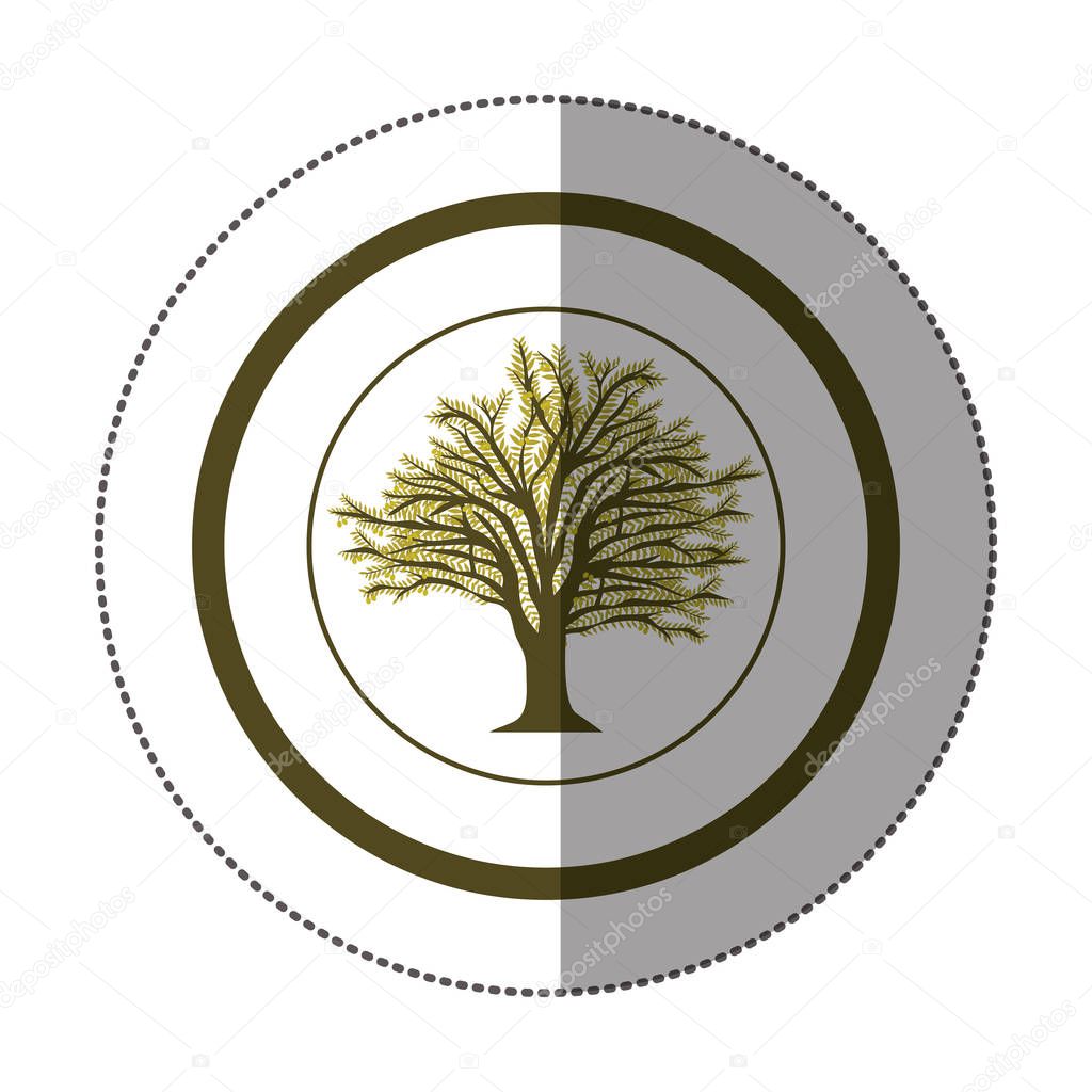 sticker circular with tree with ramifications and leaf