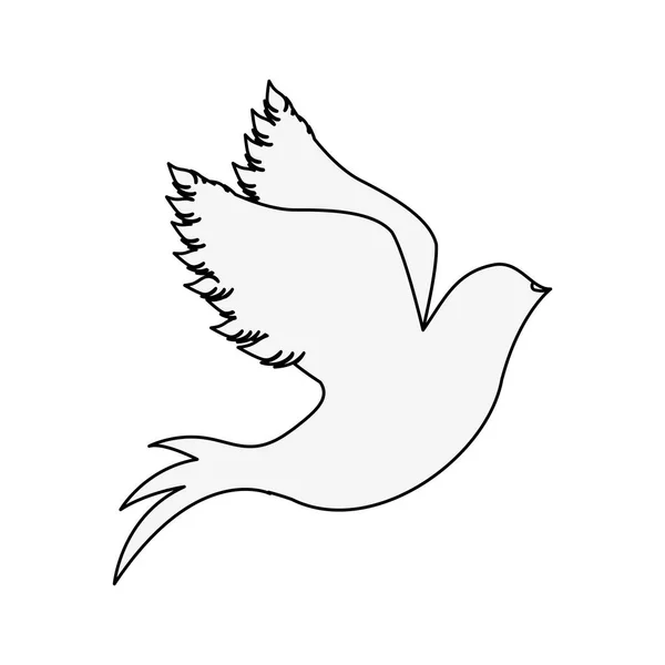Silhouette de pigeon commencent à voler — Image vectorielle