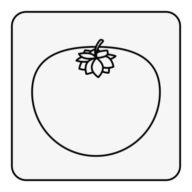 tek renkli kontur domates ile kare