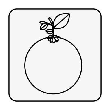 tek renkli kontür köşeli turuncu meyve ile