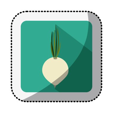 renk soğan sebze ile orta gölge etiket ile kare