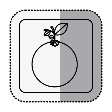 tek renkli kare turuncu meyve ile orta gölge etiket ile kontur