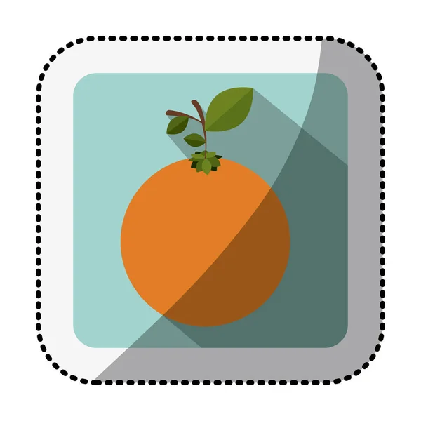 オレンジ色の果物と中間シャドウ ステッカーの色 — ストックベクタ
