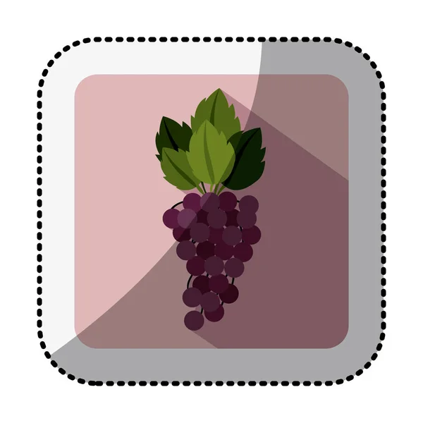 Color cuadrado con pegatina de sombra central con fruta de uvas — Vector de stock