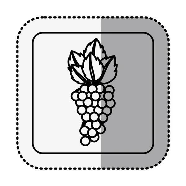 Monochrome square contour with middle shadow sticker with grapes fruit — Stock Vector